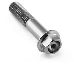 Rim Bolt